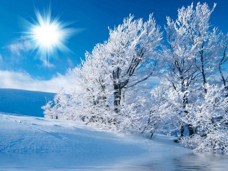 Hình nền  Bầu trời thiên nhiên không khí Đóng băng mùa đông Bầu khí  quyển của trái đất Hiện tượng không gian bên ngoài Ban ngày cây tuyết Hình  nền máy
