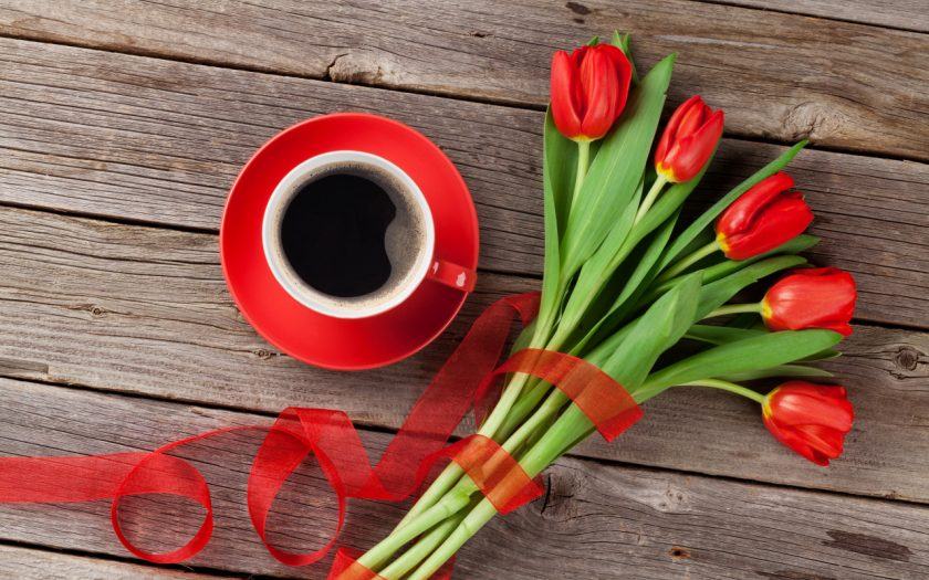 hoa tulip ngày lễ tình nhân để tang người yêu