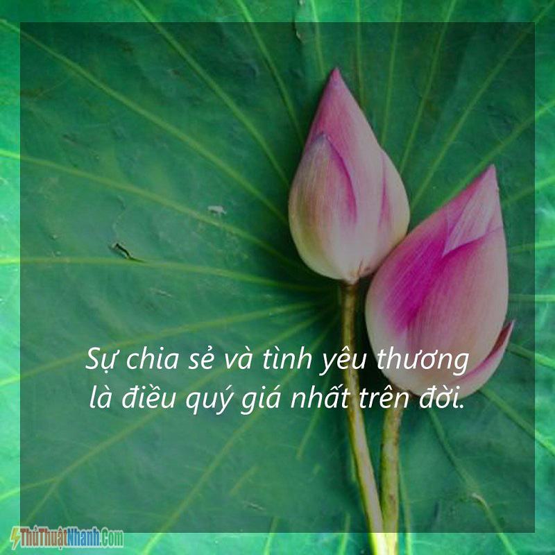 Những Câu Nói Hay Về Cho Và Nhận