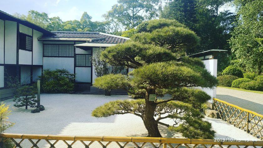 Những bức ảnh đẹp về cây cảnh - cây cối tươi tốt trong khu vườn Nhật Bản