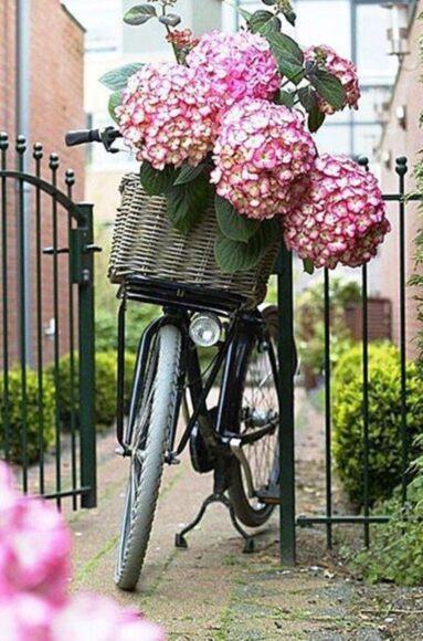Tranh xe đạp và hoa