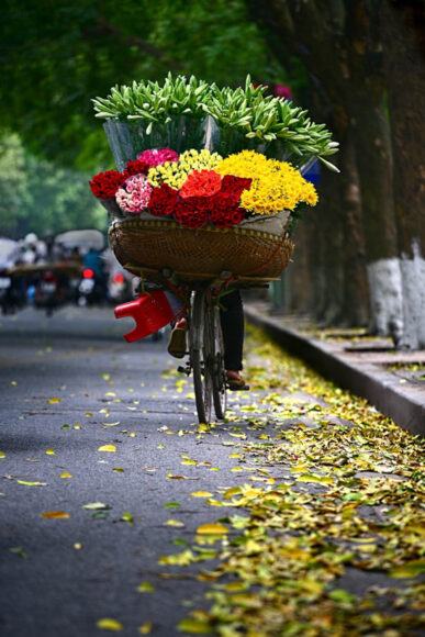 Hình ảnh chiếc xe đạp biến thành bông hoa