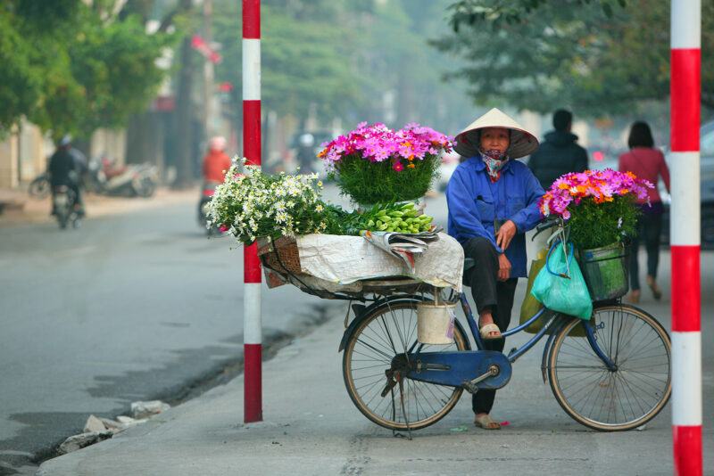 Hình ảnh những chiếc xe đạp chở đầy hoa