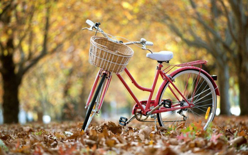 Hình ảnh xe đạp mùa thu lá vàng