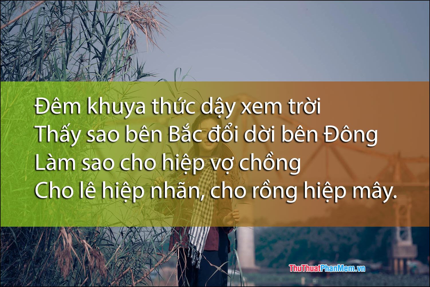 Thức khuya để ngắm bầu trời