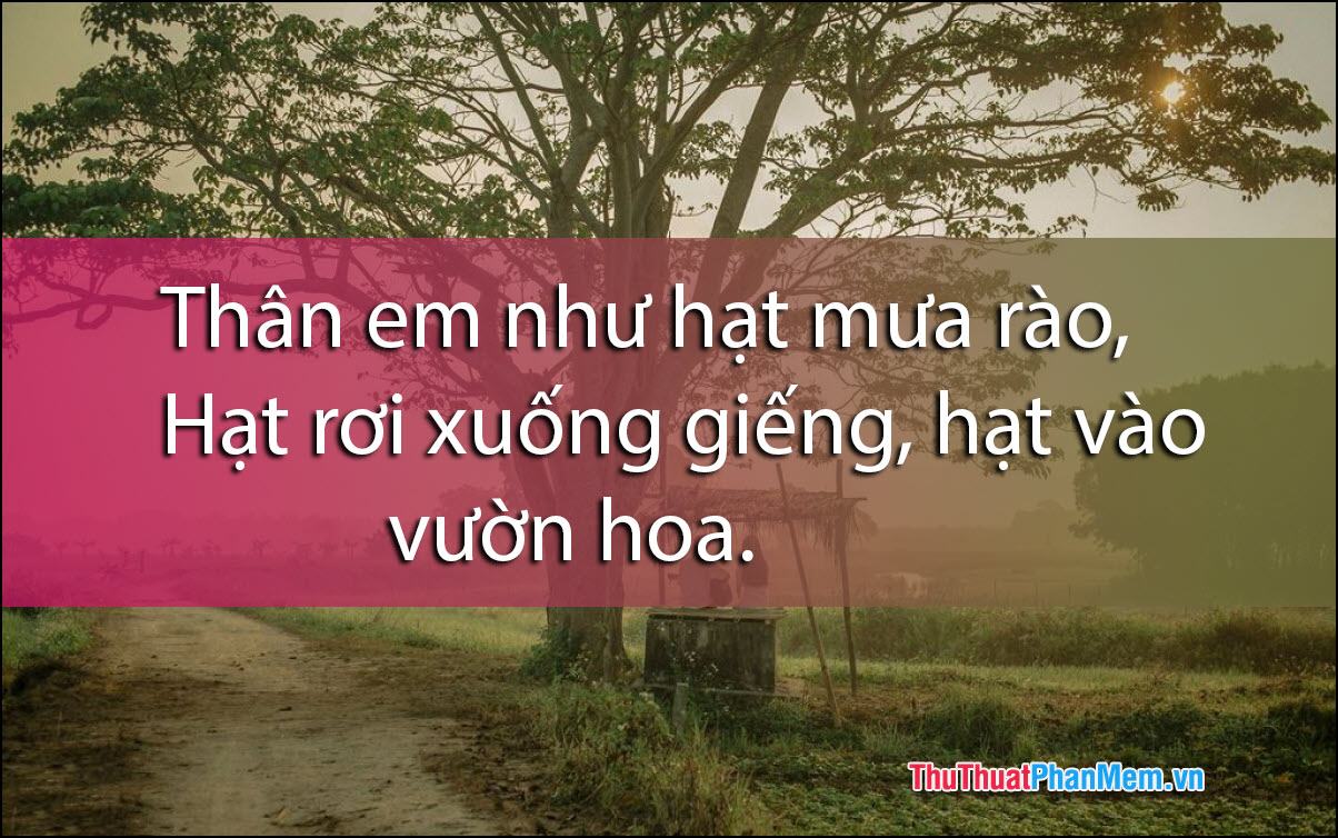 Thân em như giọt mưa