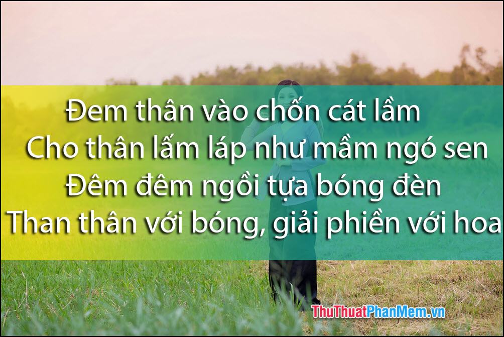 Đặt cơ thể của bạn trong cát sai