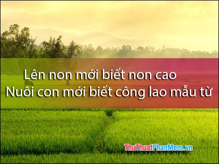 Bạn chỉ có thể cảm thấy nó khi bạn làm điều đó