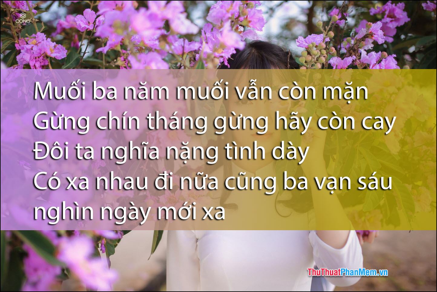 Ba năm muối vẫn mặn