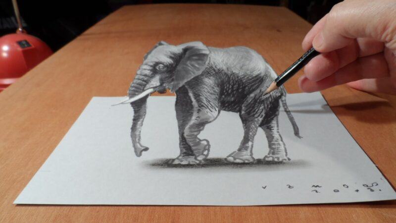 bản vẽ 3d của một con voi