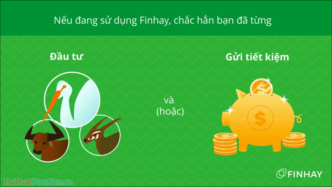 Danh sách Ban lãnh đạo liên quan tại Finhay