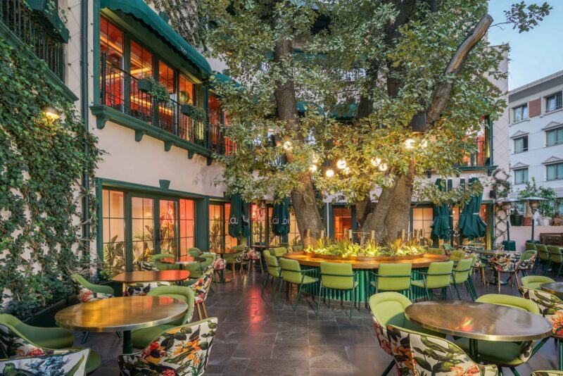 Hình ảnh quán cà phê đẹp rợp bóng cây xanh