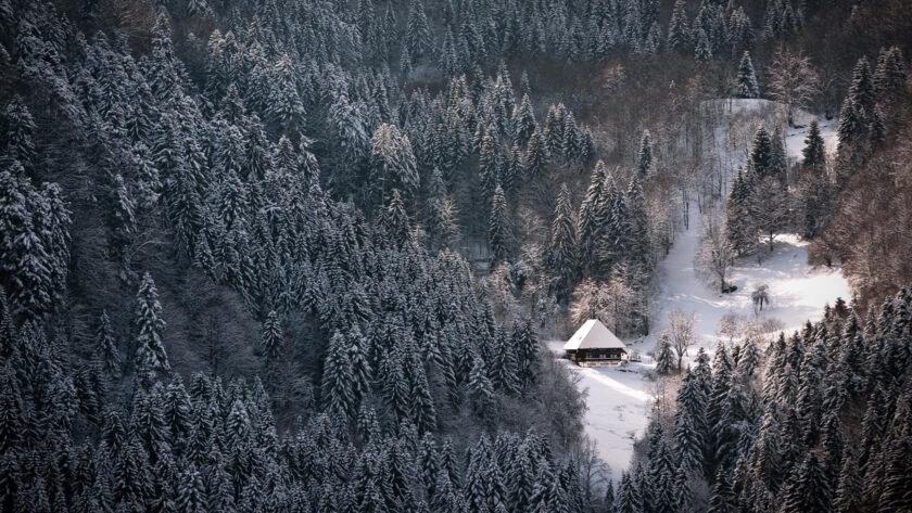 Hình ảnh Mùa đông Alpine Ngôi nhà cô đơn