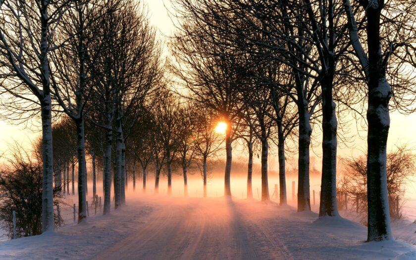 Mặt trời chiếu vào bức tranh mùa đông lạnh trên đường