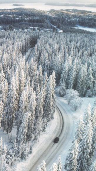 Hình ảnh mùa đông lạnh giá trên con đường xuyên rừng