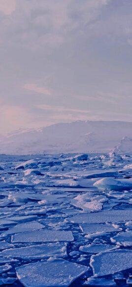 Hình ảnh mùa đông lạnh giá với những tảng băng trôi