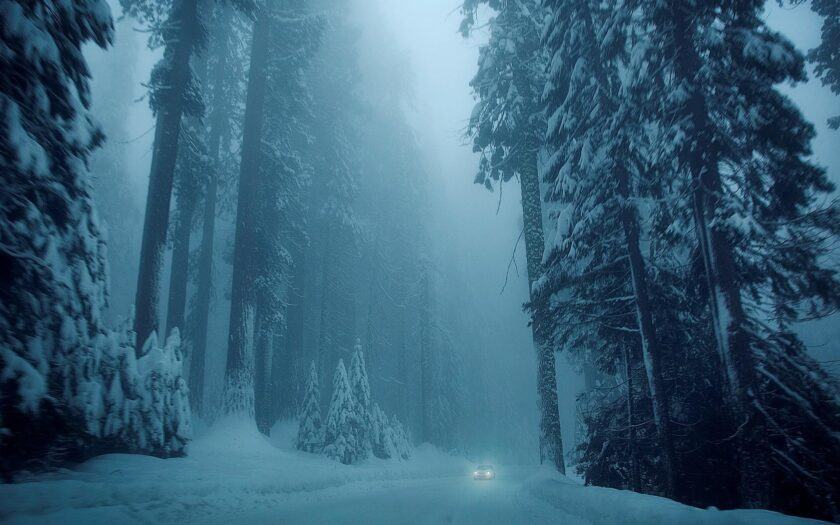 Hình ảnh mùa đông lạnh giá trong rừng tuyết tùng hùng vĩ