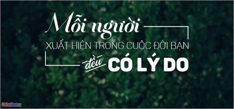 Stt - những câu nói hay về cuộc đời, tình yêu