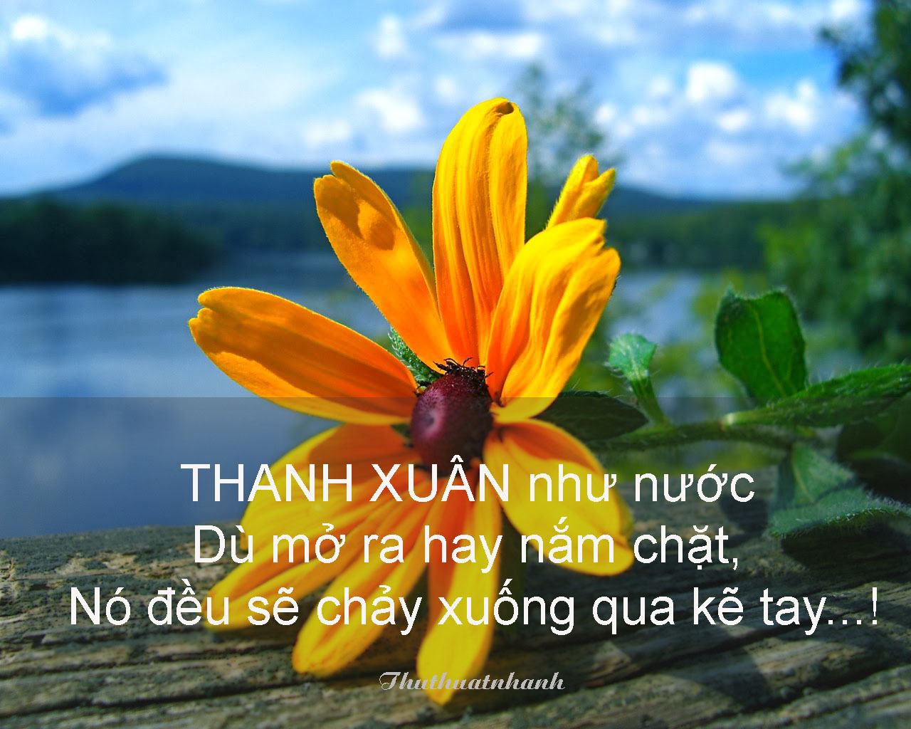 noi hay quay lai Thanh Xuan