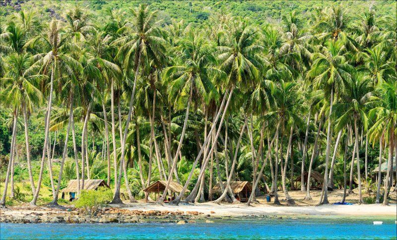 Hình ảnh đảo Nam Du với hàng dừa ven biển