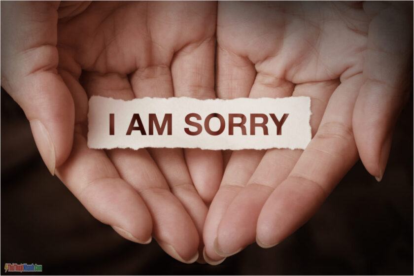 I am sorry text on hand