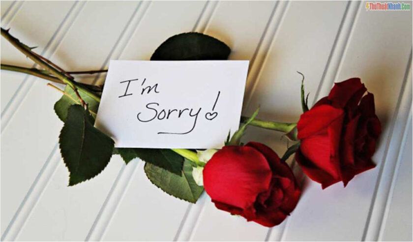 Tin nhắn xin lỗi bạn gái khiến cô gái nào nghe thấy cũng mủi lòng