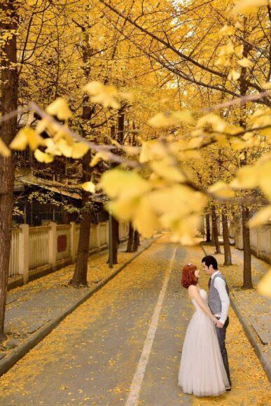 Hình ảnh nghiệt ngã của đôi trai gái trên con đường mùa thu lá vàng