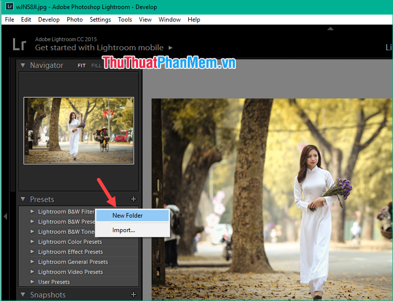 Mở rộng phần Preset rồi nhấp chuột phải và chọn New Folder