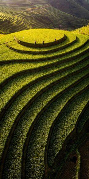 Hình ảnh làng phú quý ở Việt Nam