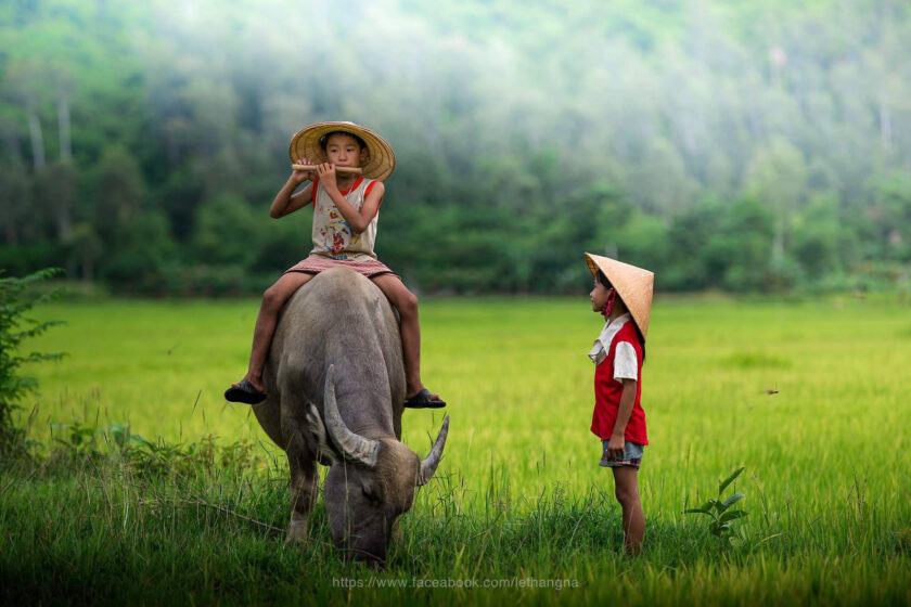 Hình ảnh làng quê Việt Nam đầy kỉ niệm tuổi thơ