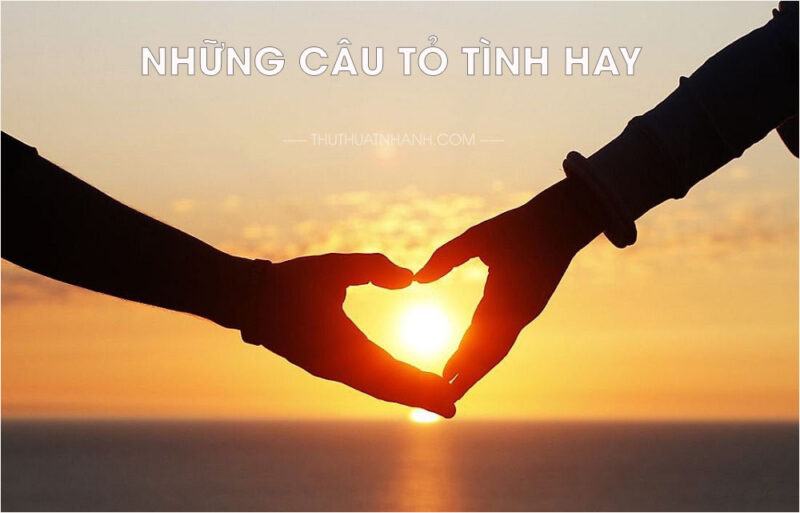 Những câu tỏ tình hay