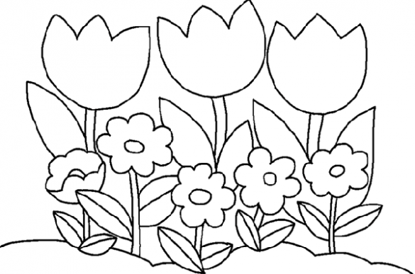 tranh hoa tulip khổ lớn