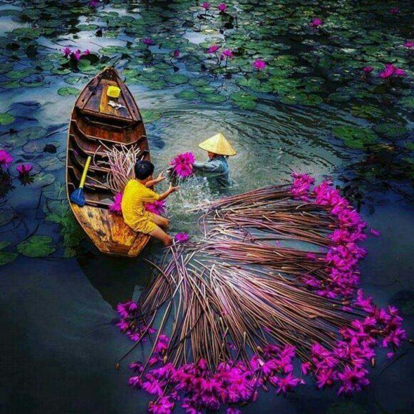 Ảnh đẹp về thiên nhiên Việt Nam bình dị