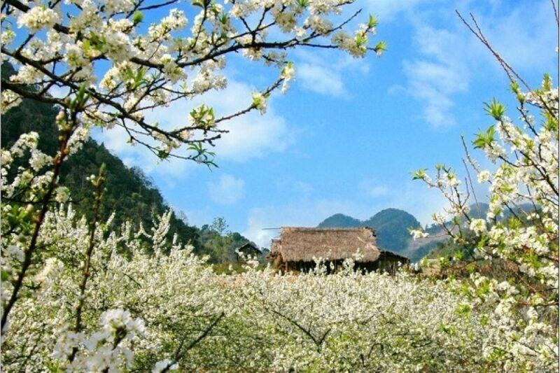 Ảnh đẹp phong cảnh thiên nhiên Mộc Châu Việt Nam
