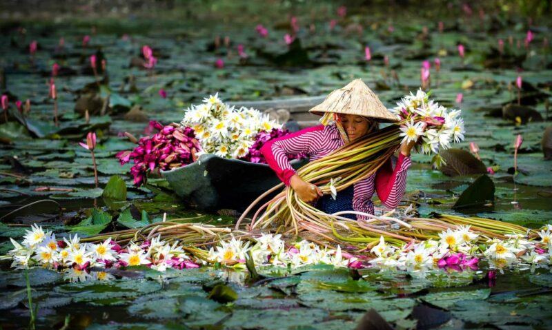 Ảnh đẹp thiên nhiên Việt Nam, cuộc sống bình dị đời thường
