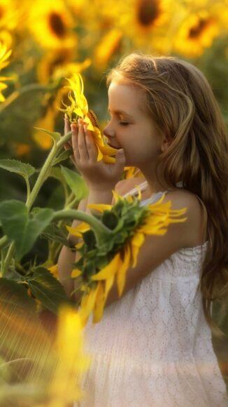 Chụp ảnh cô bé đang ngửi hương hoa hướng dương
