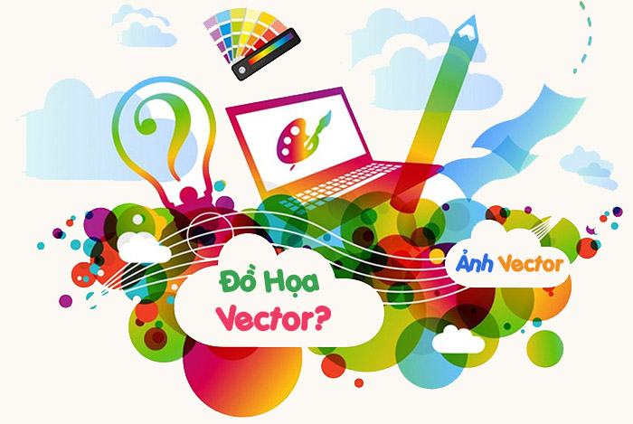 Vector UK và làm vector hoa