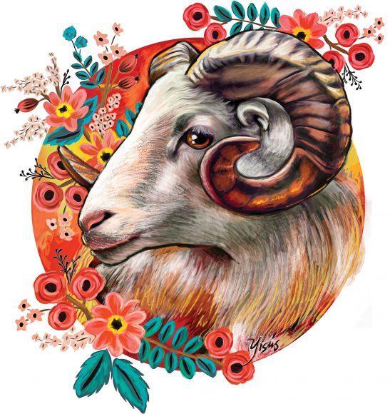 Ảnh Bạch Dương - chú cừu tượng trưng cho kính vạn hoa