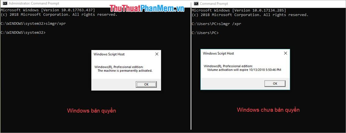 Thông báo trạng thái máy chủ Windows Script