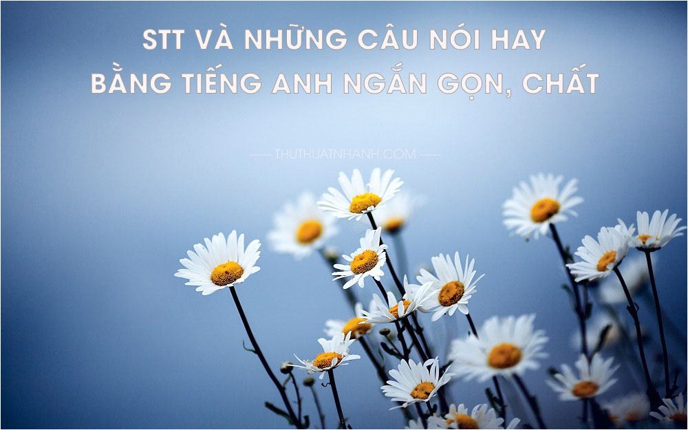 Tóm lại là giỏi tiếng Anh