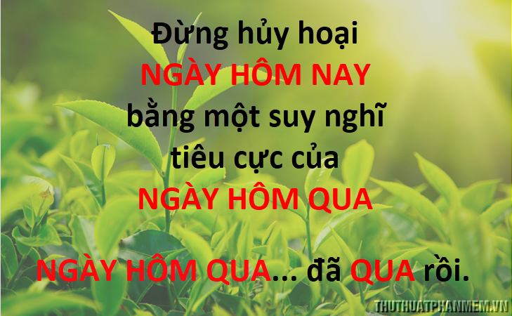 Stt hay về cuộc sống - 4