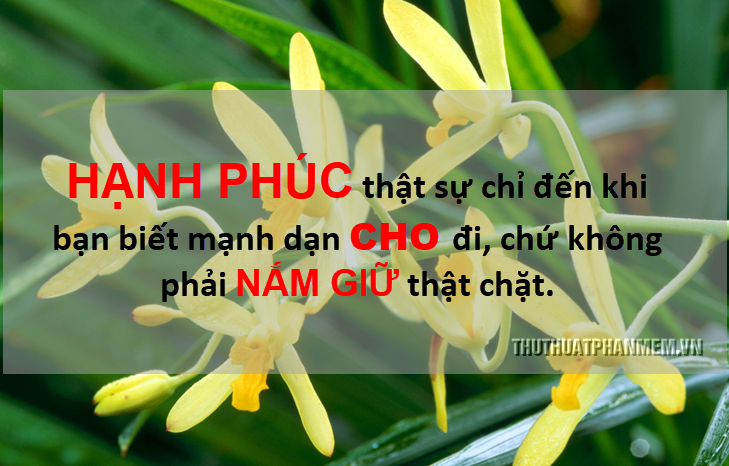 Stt hay về cuộc sống - 10