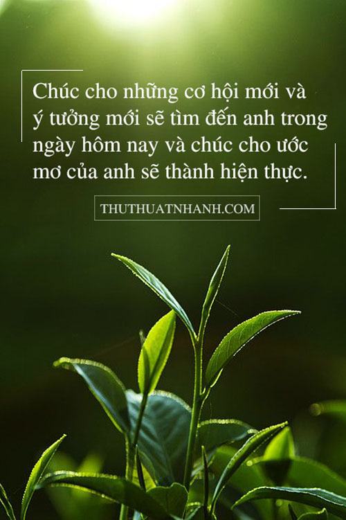 lời chúc đầu tuần cho chàng