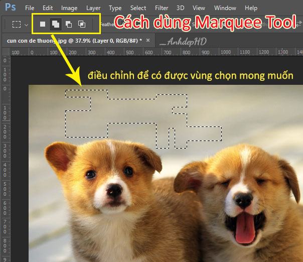 Cách sử dụng Công cụ Marquee trong Photoshop