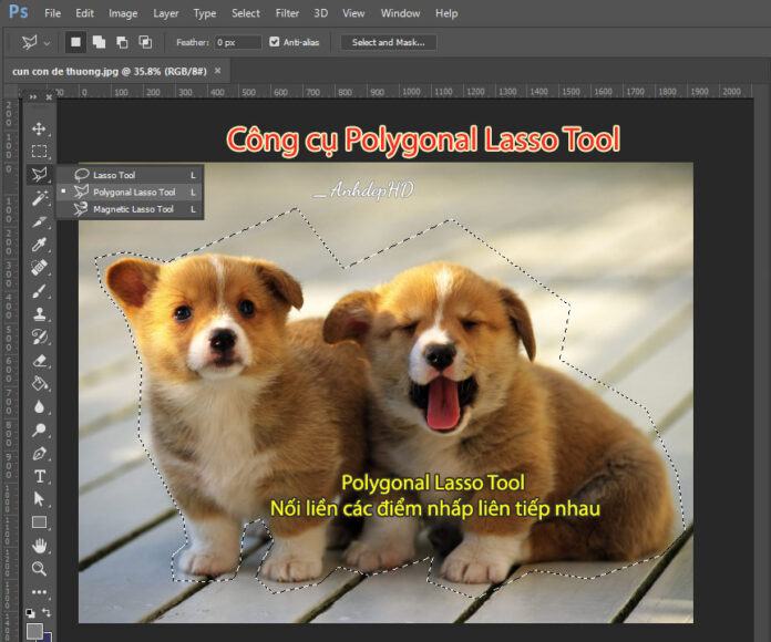Công cụ Polygonal Lasso trong Photoshop