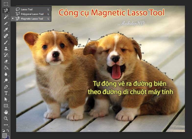Công cụ Lasso từ tính trong Photoshop