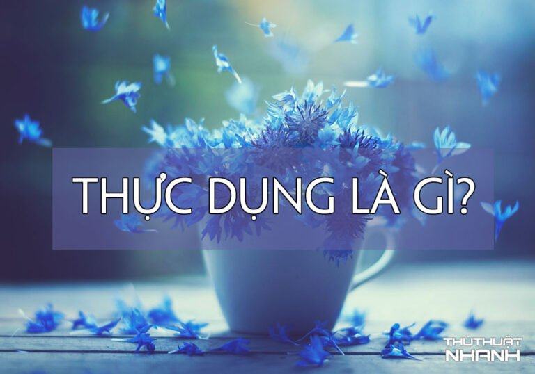 Thực dụng là gì? Thế nào là thực tế và thực dụng?