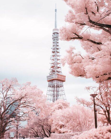 Hình ảnh đẹp và lãng mạn của tháp Tokyo