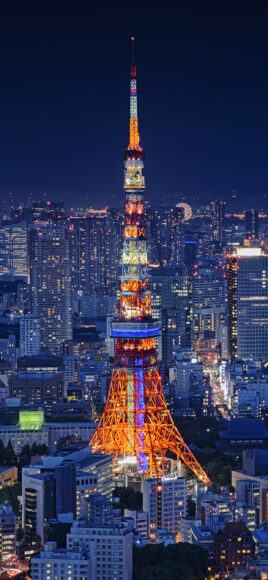 Hình ảnh tuyệt đẹp của tháp Tokyo về đêm