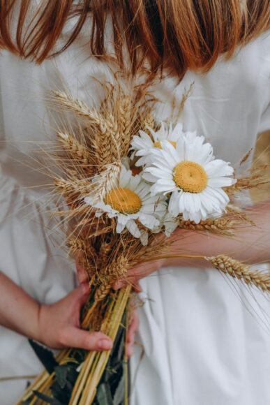 Hoa cúc trắng làm hoa cưới đơn giản phóng khoáng
